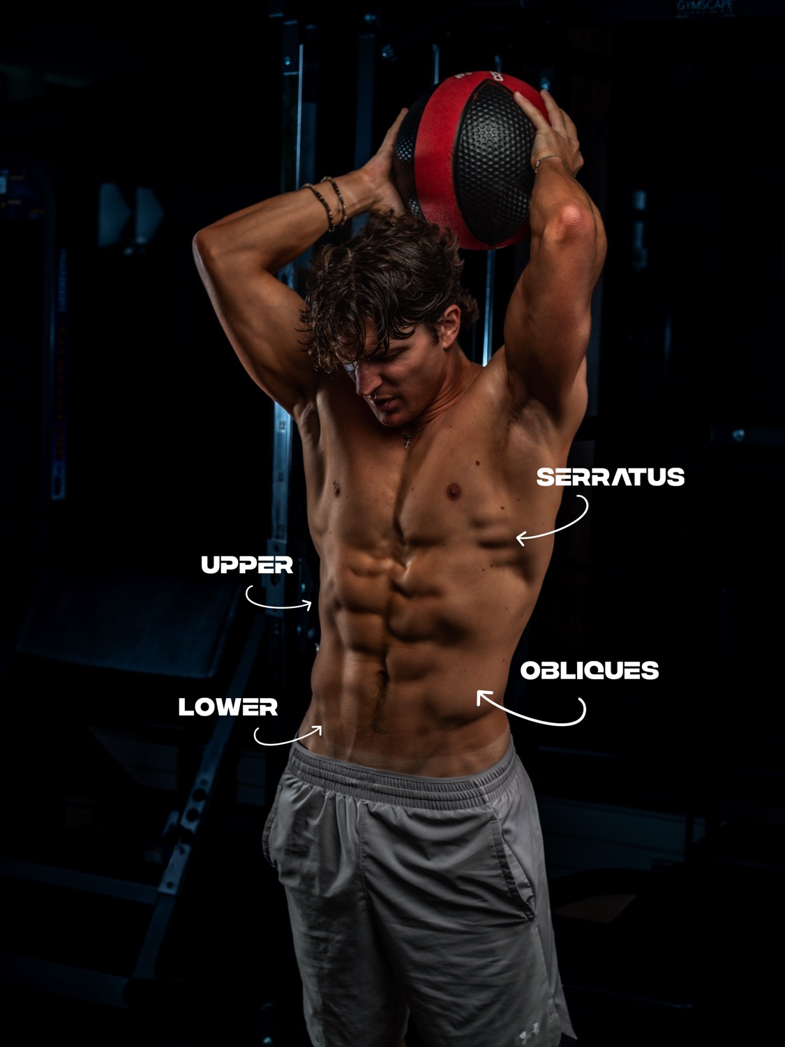 Genno holding a medicine ball overhead, with his upper abs, lower abs, obliques and serratus labelled